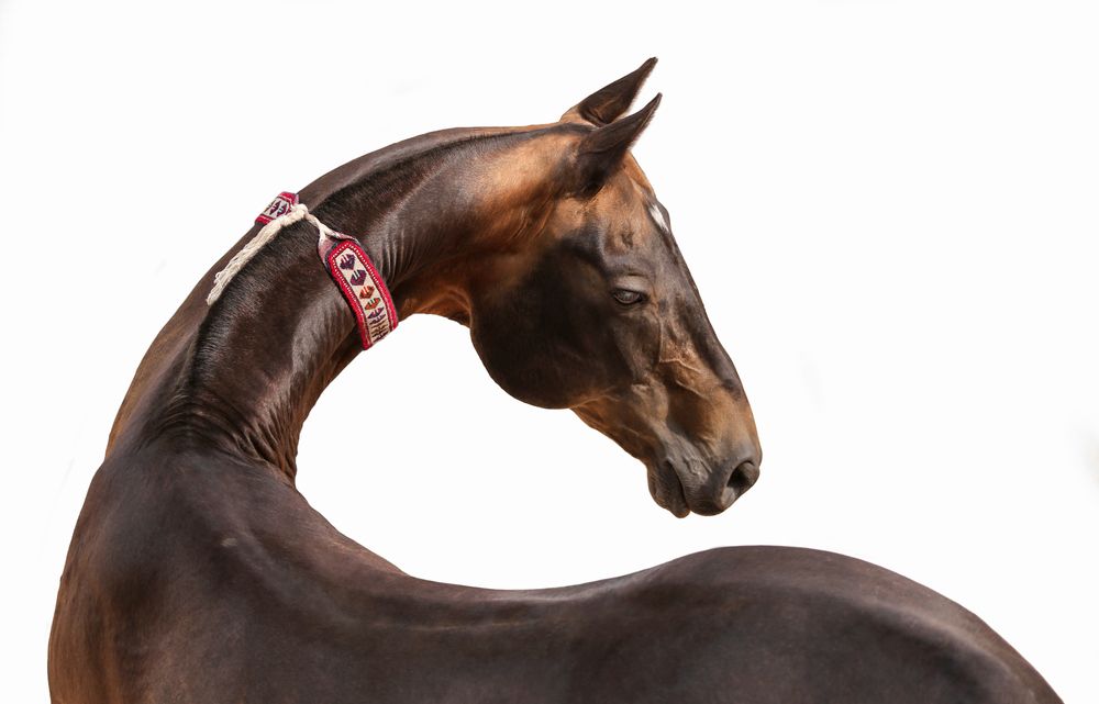 Фотография автора Екатерина Михайлова