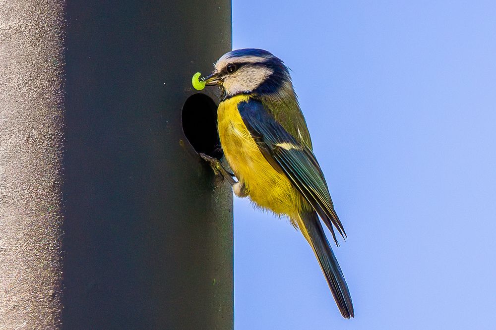 Photograph by Юлия Калугина