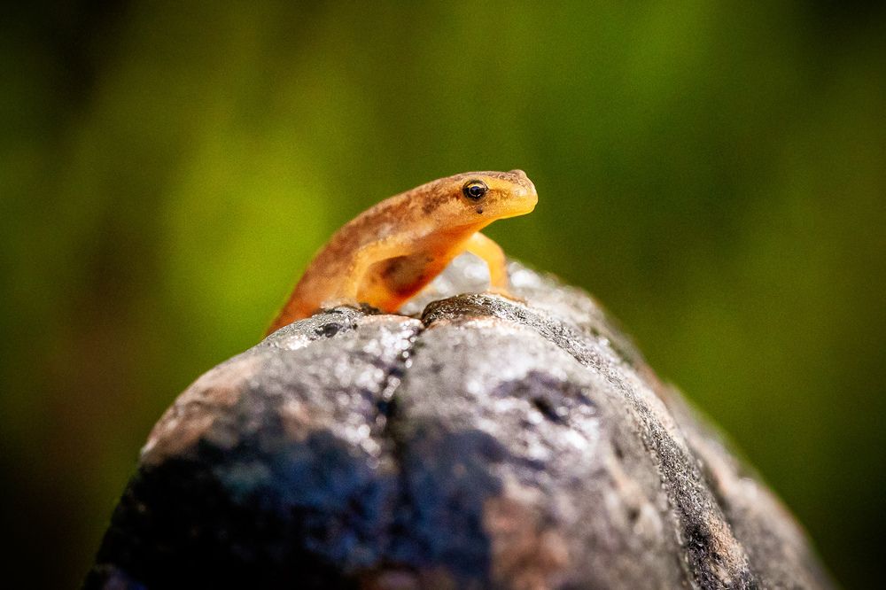 Photograph by Юлия Калугина