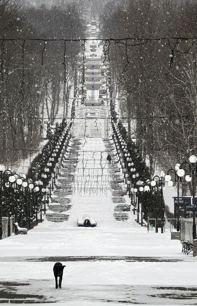 Photograph by Кривенко Владимир