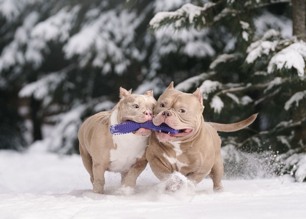 Фотография автора Валерия Капитонова