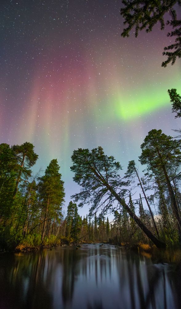 Photograph by Парамонов Григорий