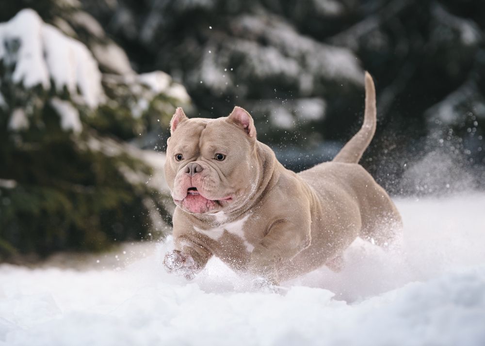 Фотография автора Валерия Капитонова