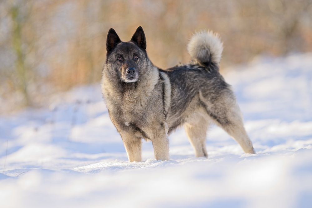 Photograph by Juraj Benčík