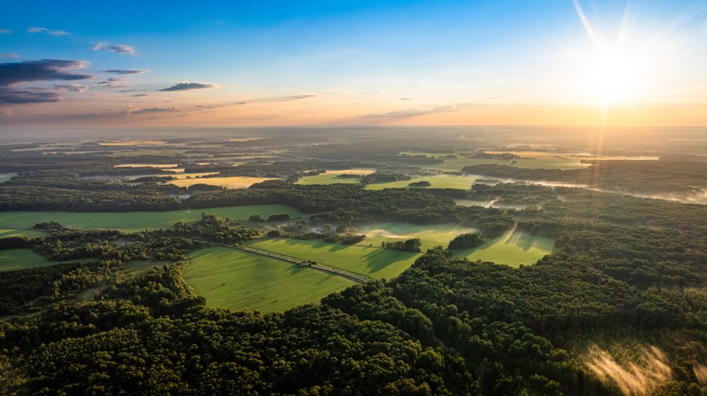 Photograph by Александр Давидик