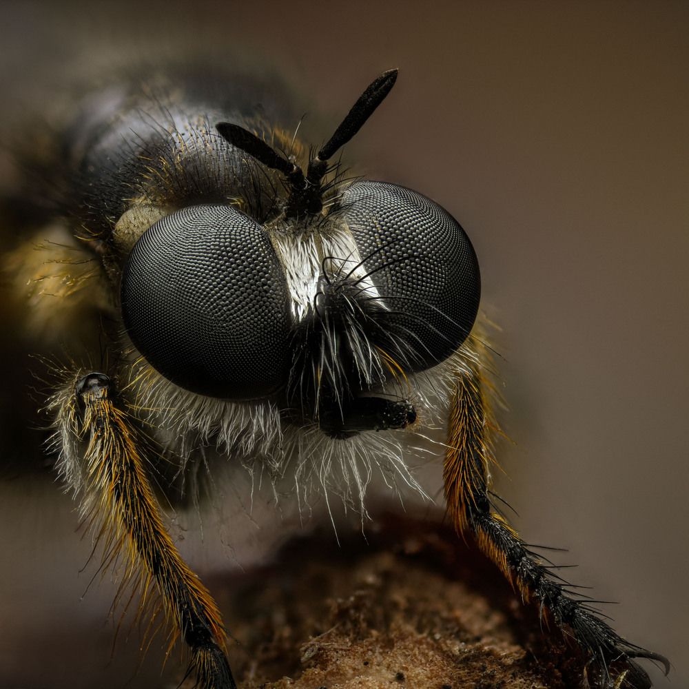 Photograph by Юрий Юрьевич Подгрушный