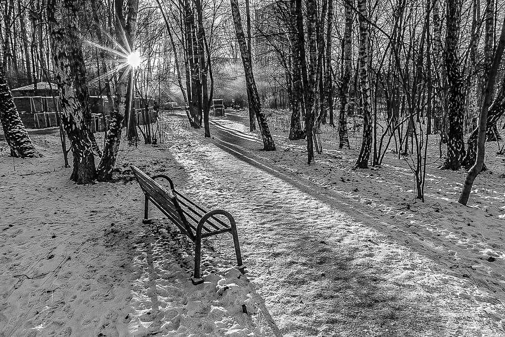 Photograph by Владимир Езеров