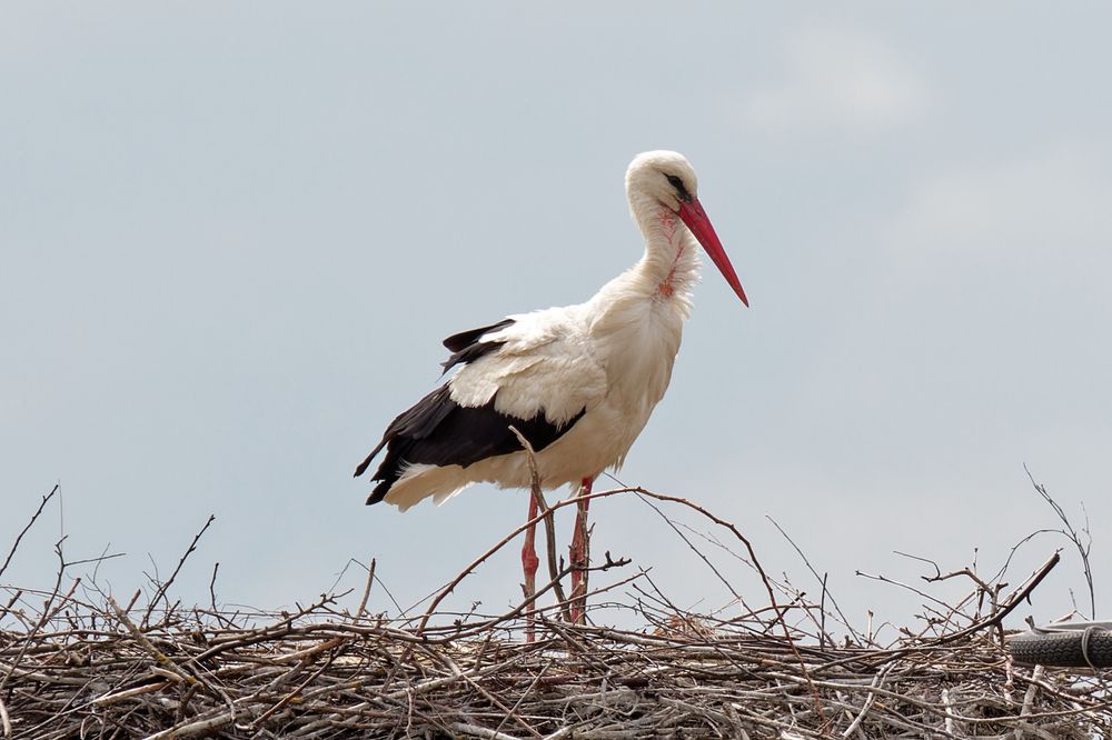 Photograph by Андрей Иванов