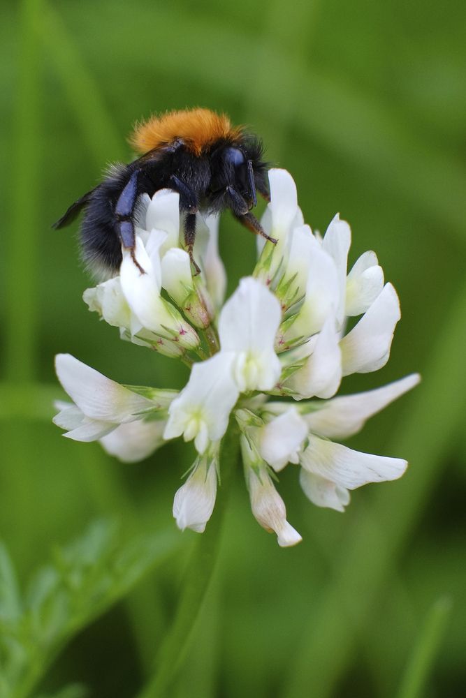 Photograph by ARTEM KORZHUKOV