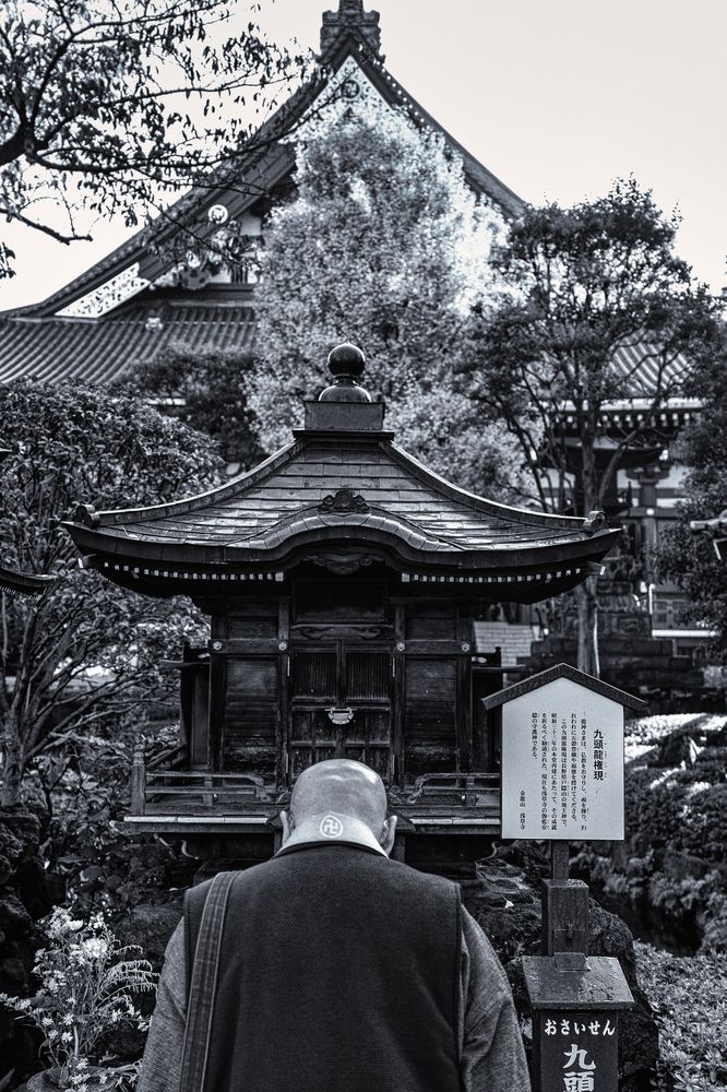 Photograph by Владимир Луценко