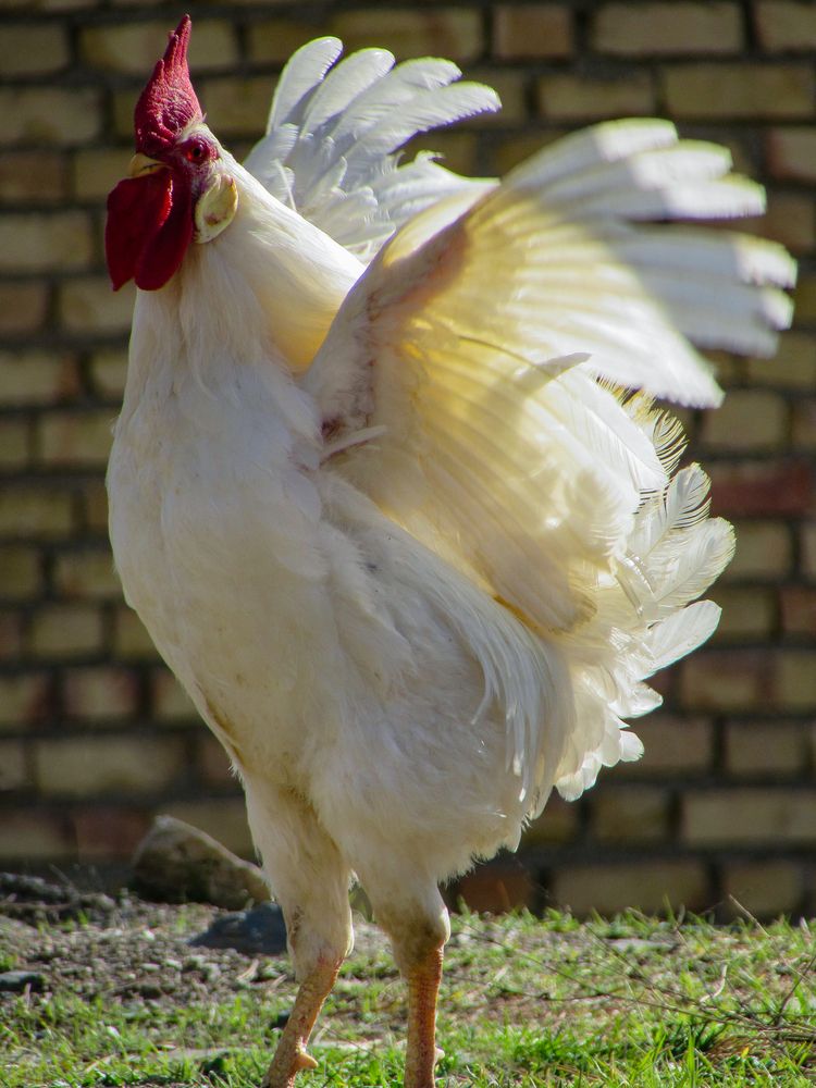 Photograph by Moein Gheysari