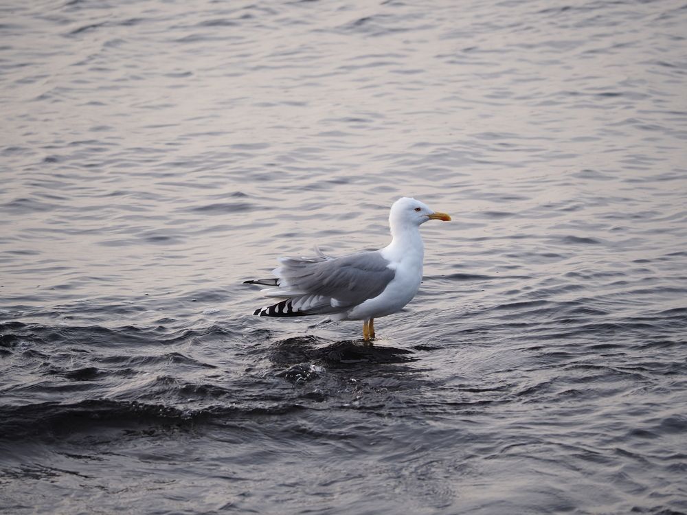 Место встречи