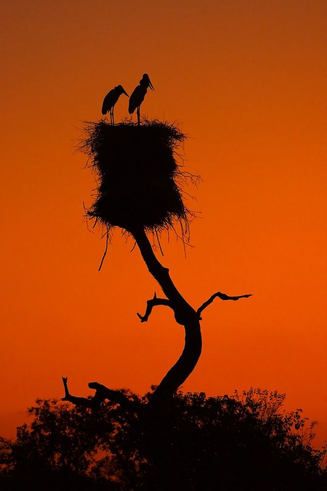 Pantanal goes to sleep