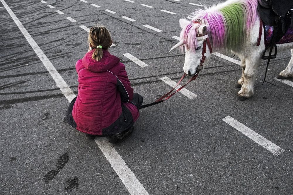 Photograph by Loptev Andrey