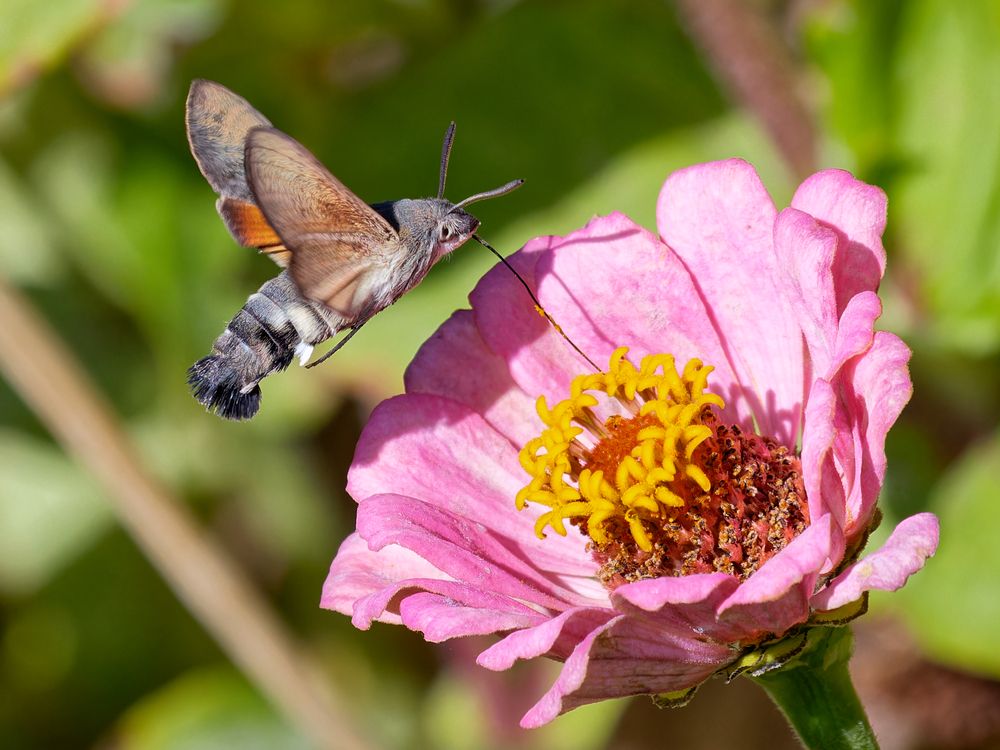 Photograph by Андрей Иванов