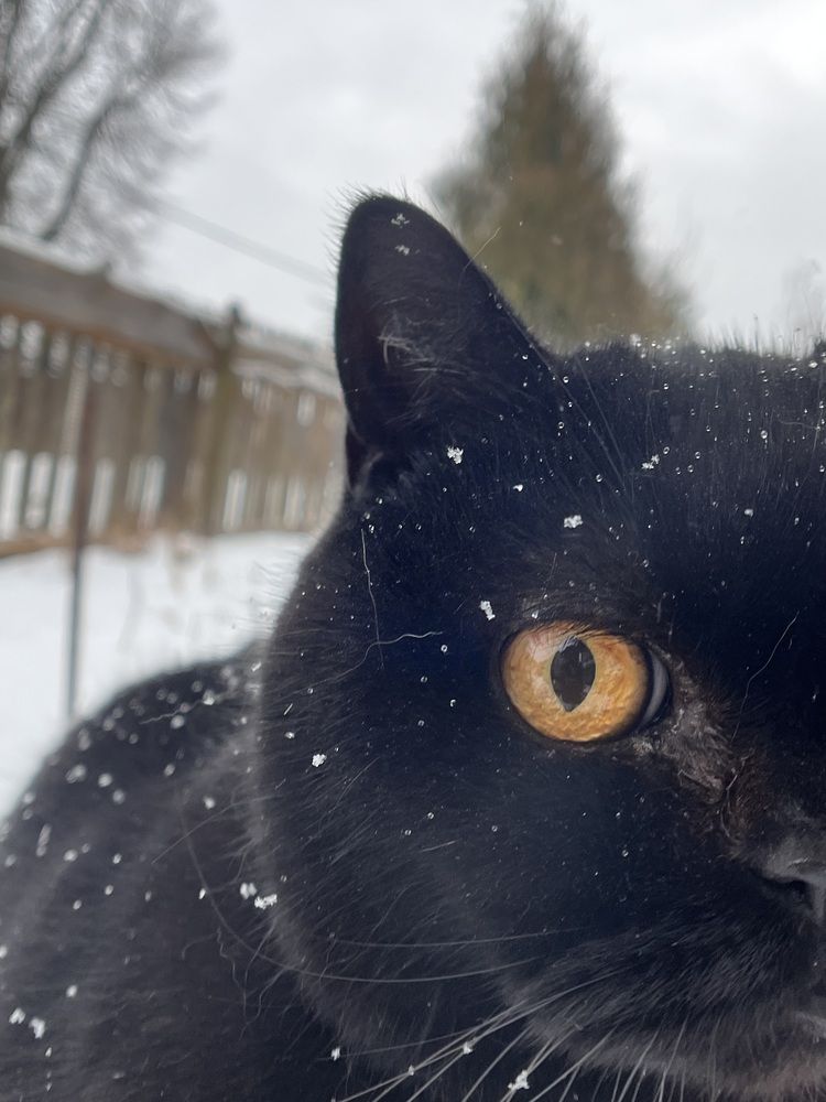 Photograph by Анна