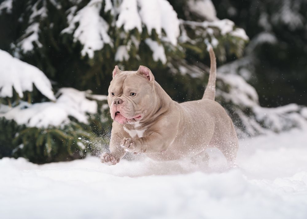 Фотография автора Валерия Капитонова