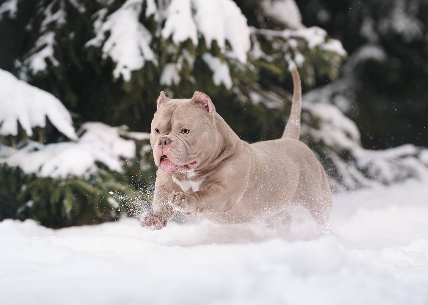 Фотография #12017710