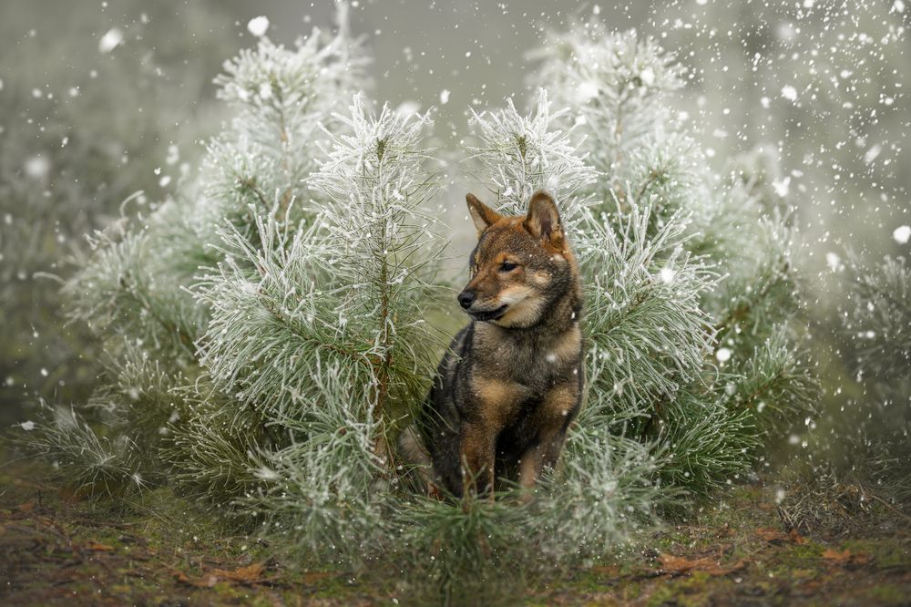 Photograph by Lucie Nermuťová