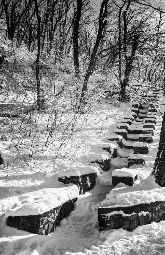 Photograph by Кривенко Владимир