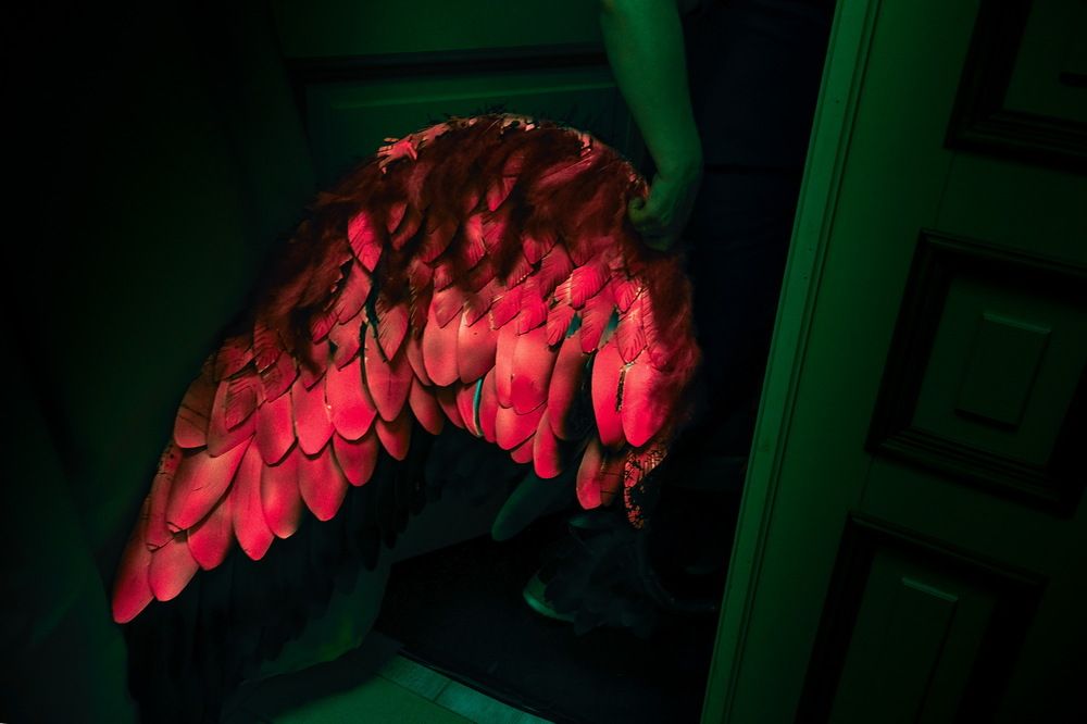 Photograph by Loptev Andrey