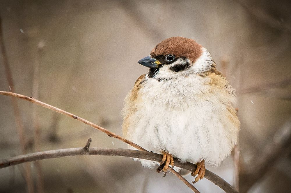 Photograph by Юлия Калугина