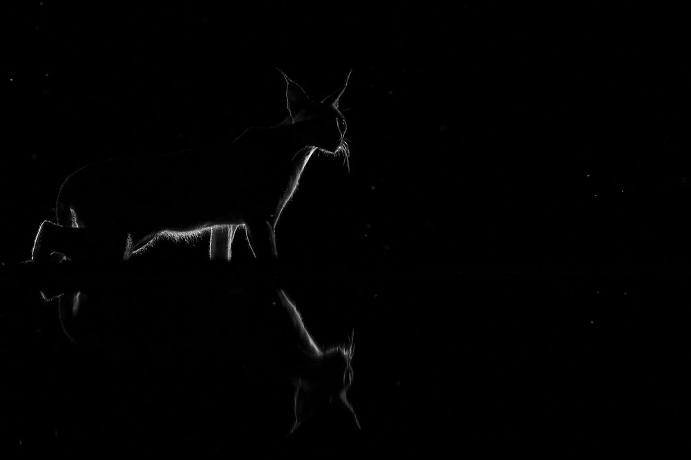 Photograph by Juraj Benčík