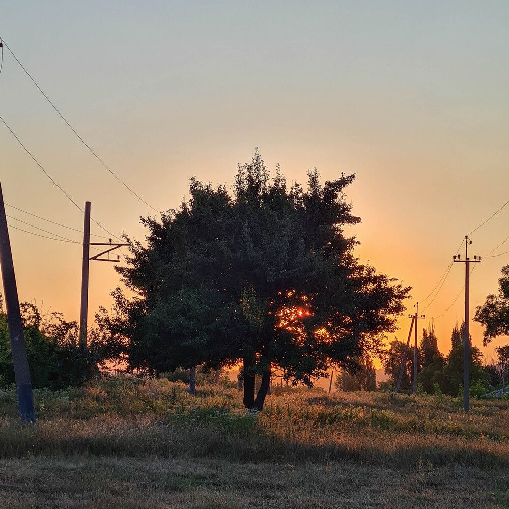 Фотография автора Ирина Дашевская