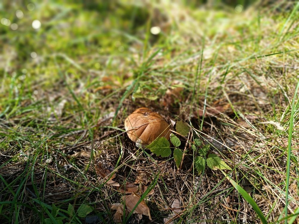 Photograph by Светлана Паренкова
