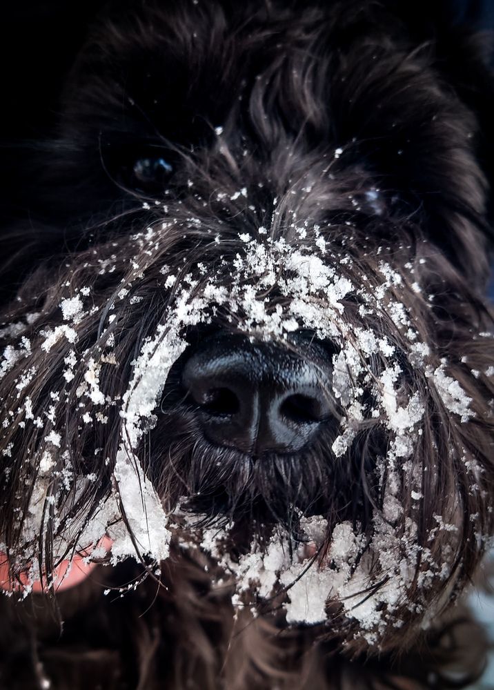 Фотография автора Elena Ku