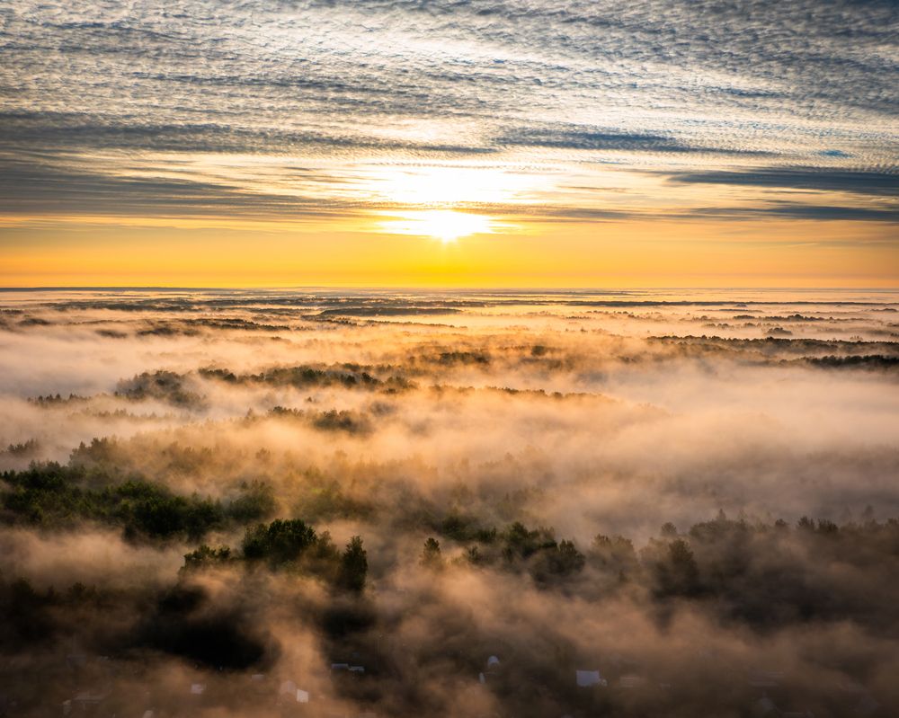 Photograph by Александр Давидик