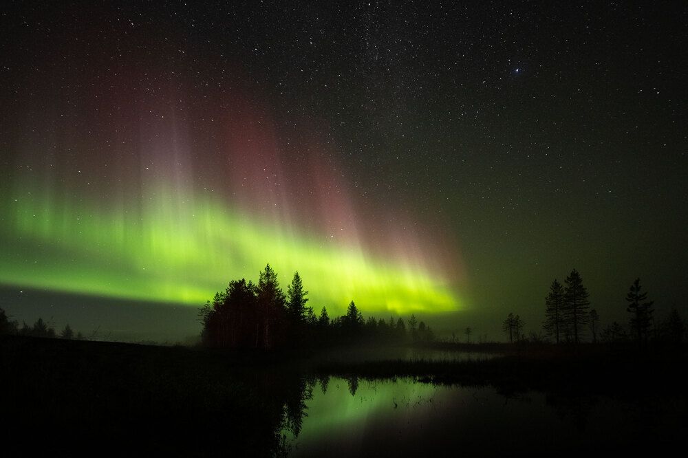 Photograph by Парамонов Григорий