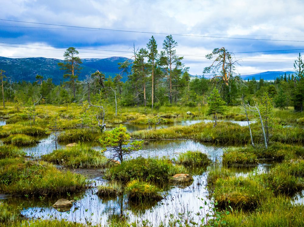 Photograph by Наталия Березина