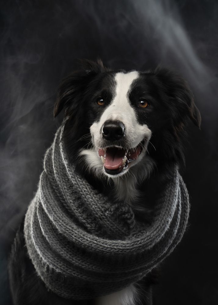 Фотография автора Валерия Капитонова