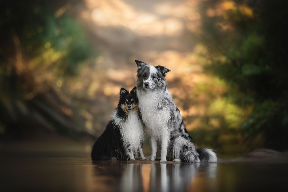 Photograph by Людмила Богуш