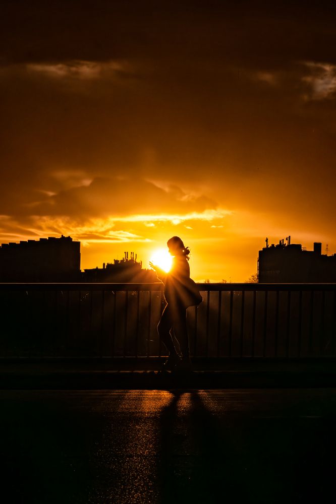 Silhouettes of Serenity