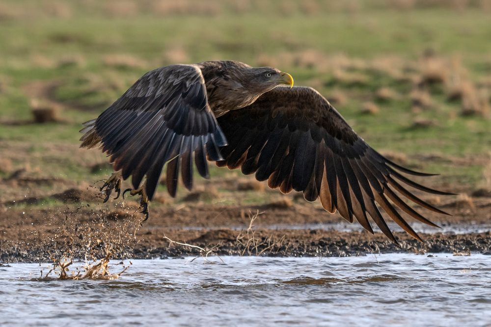 Фотография автора Яков Осканов