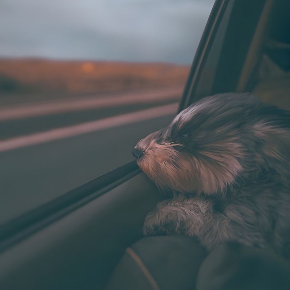 Photograph by Mathias Waicman