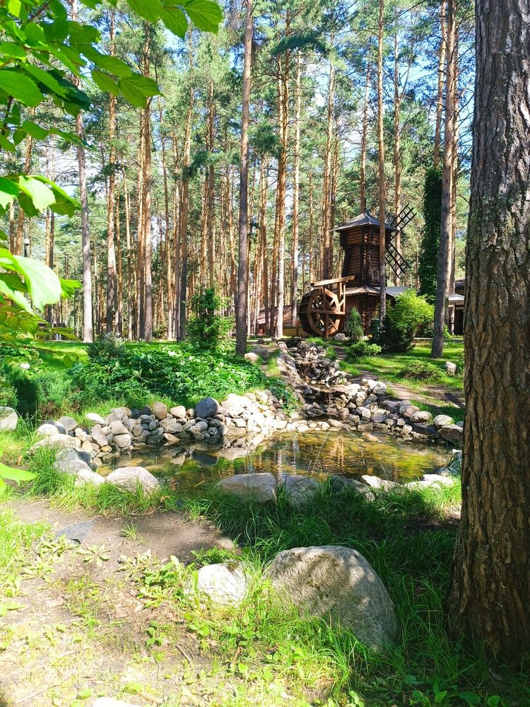 Photograph by Светлана Паренкова