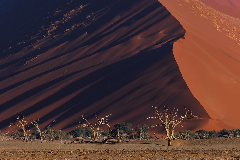 Photograph by Никита Шиндин