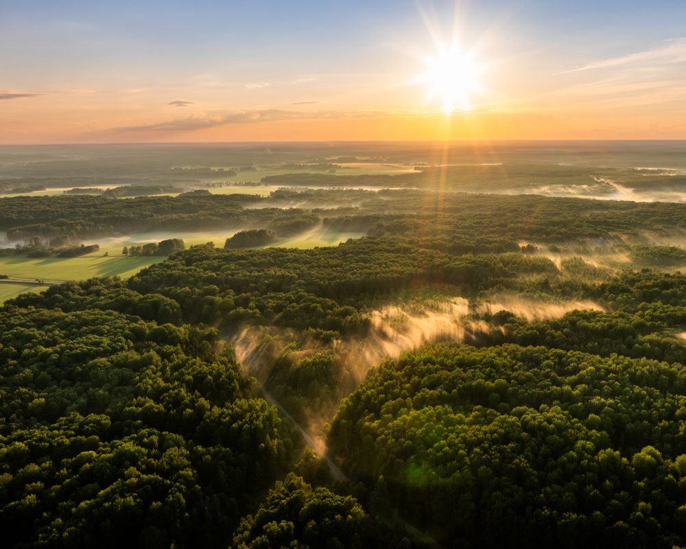 Photograph by Александр Давидик