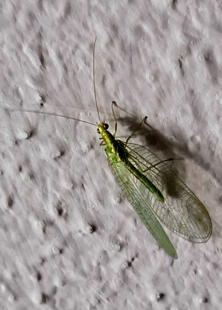 Photograph by Екатерина