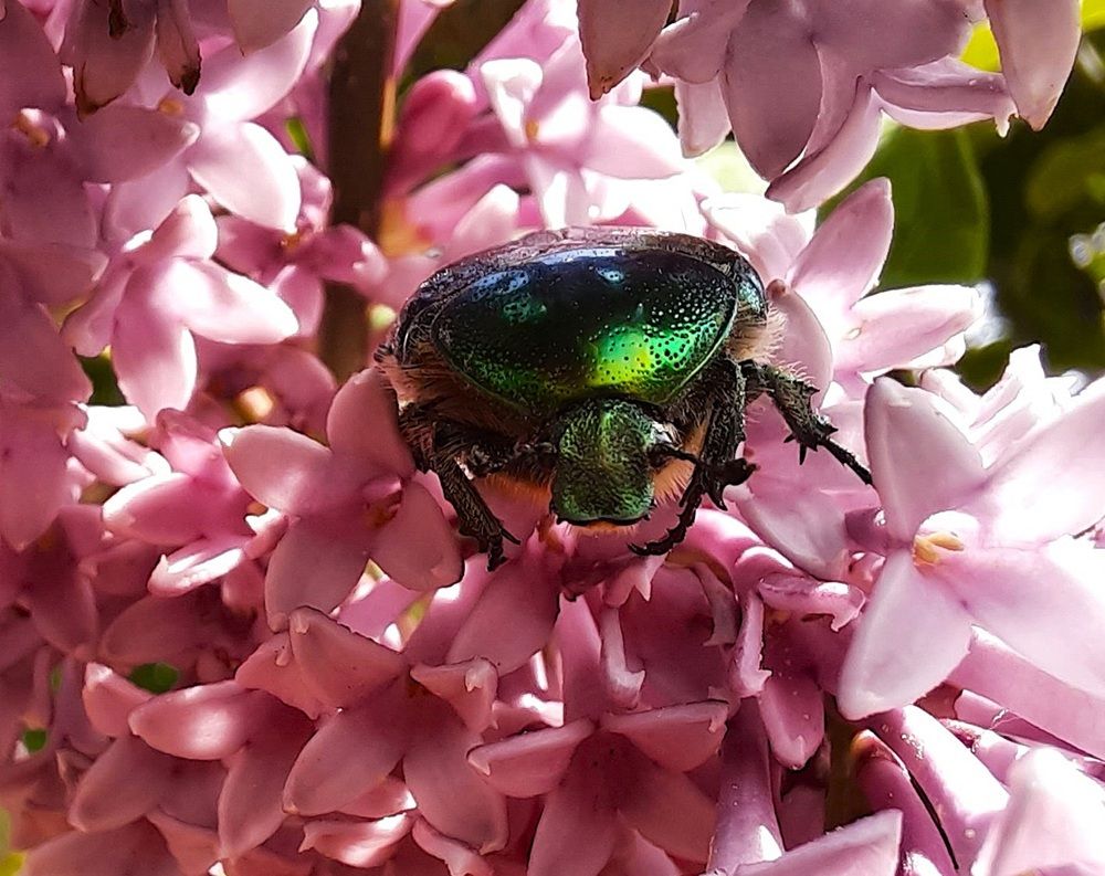 Photograph by Владимир Малёшин