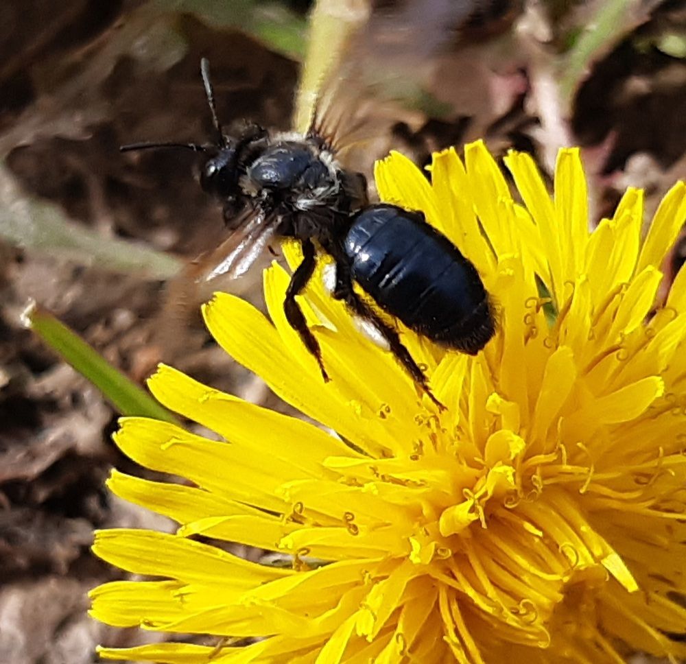 Photograph by Екатерина