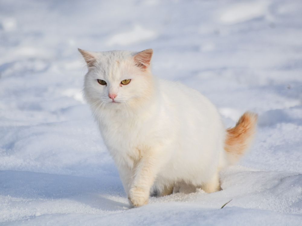 Photograph by Анастасия Гурова