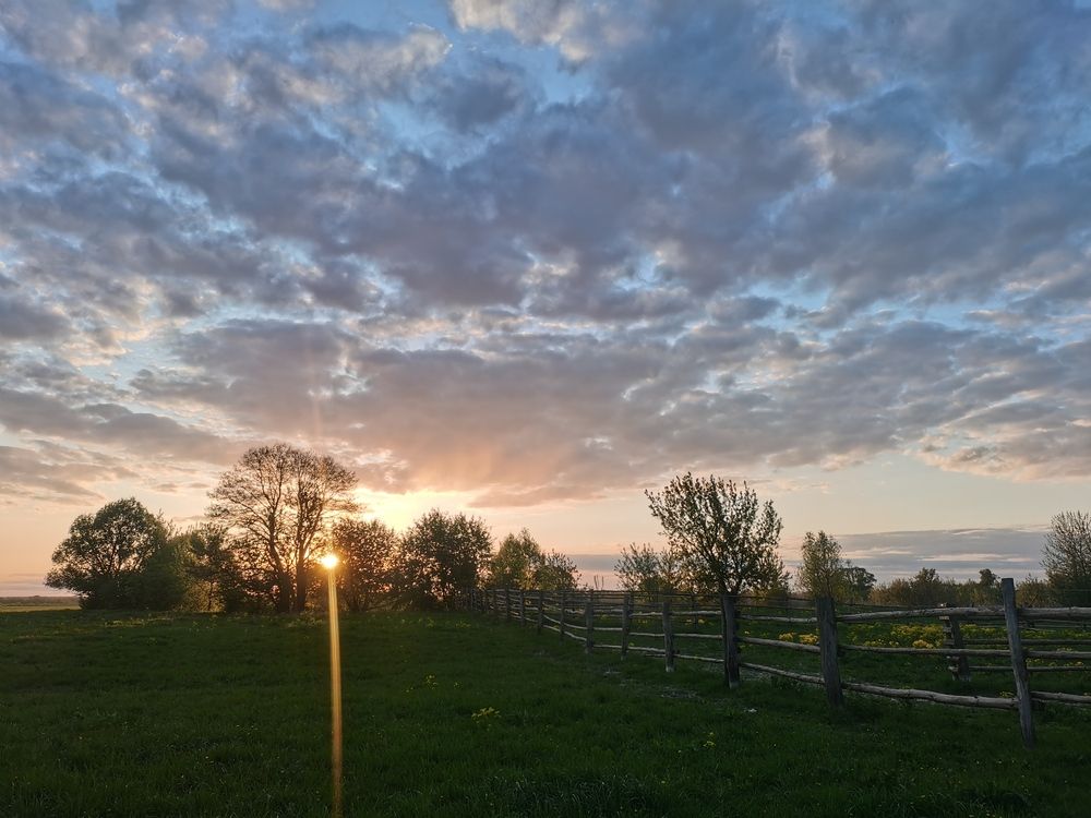 Photograph by Ульяна Рожнова