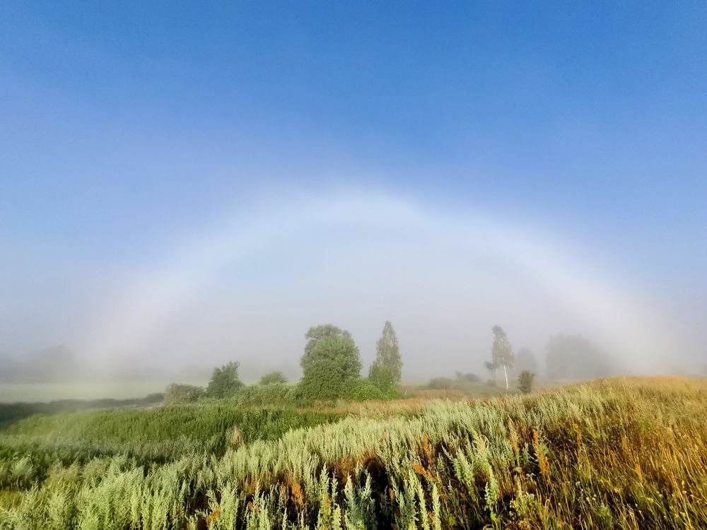 Photograph by Ульяна Рожнова