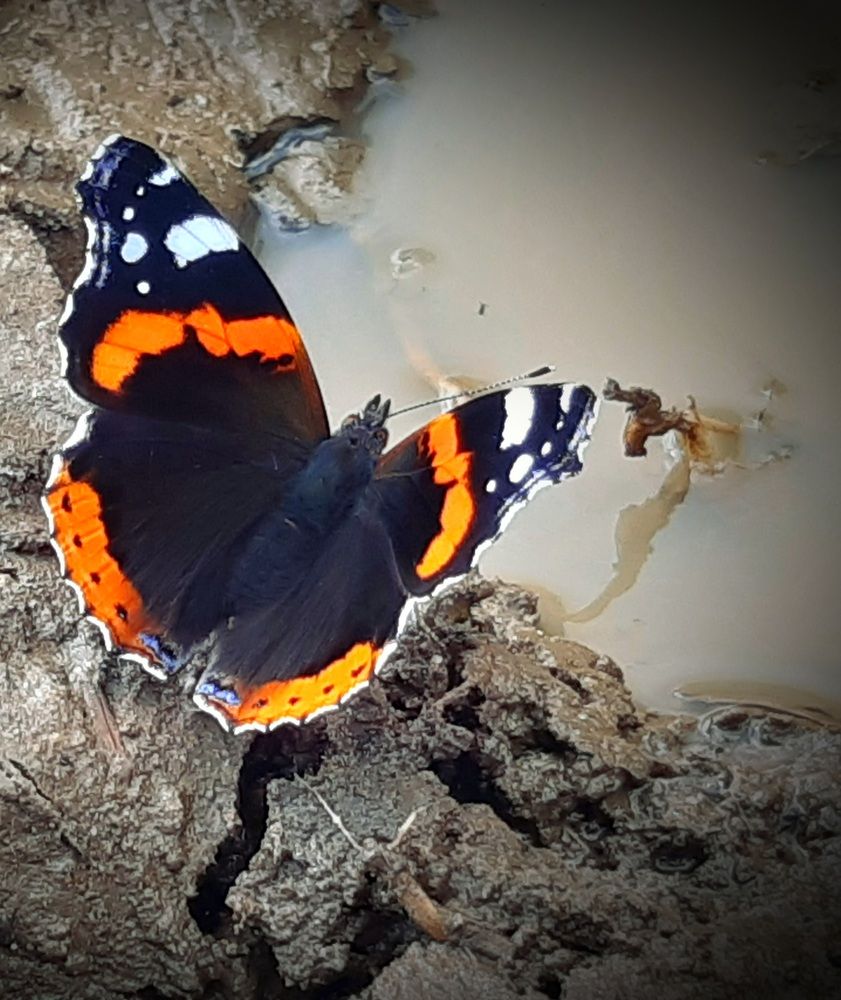 Photograph by Екатерина