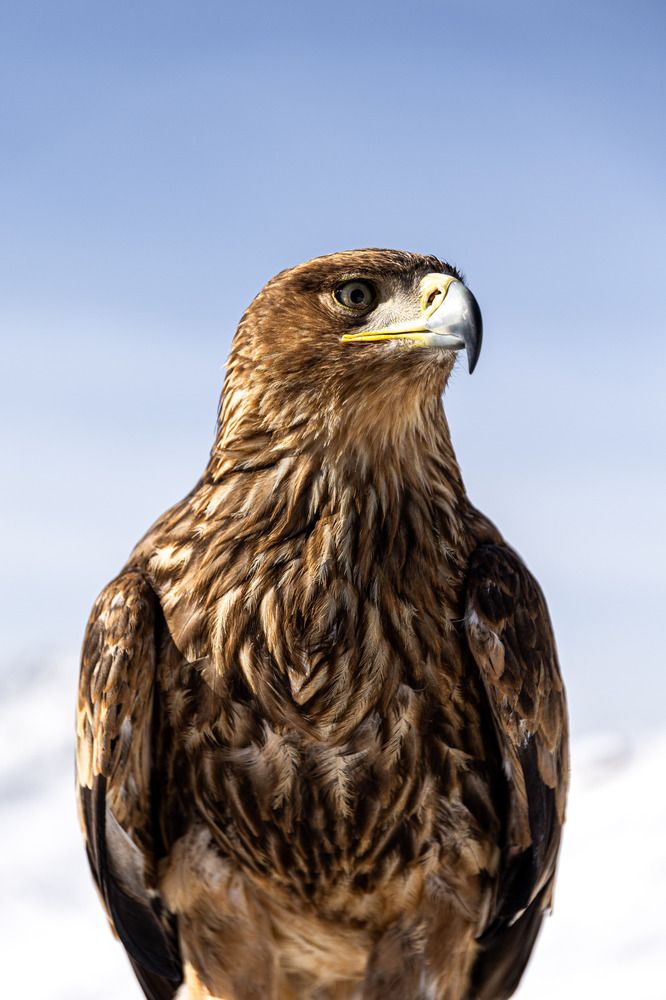 Photograph by Родион Нарудинов