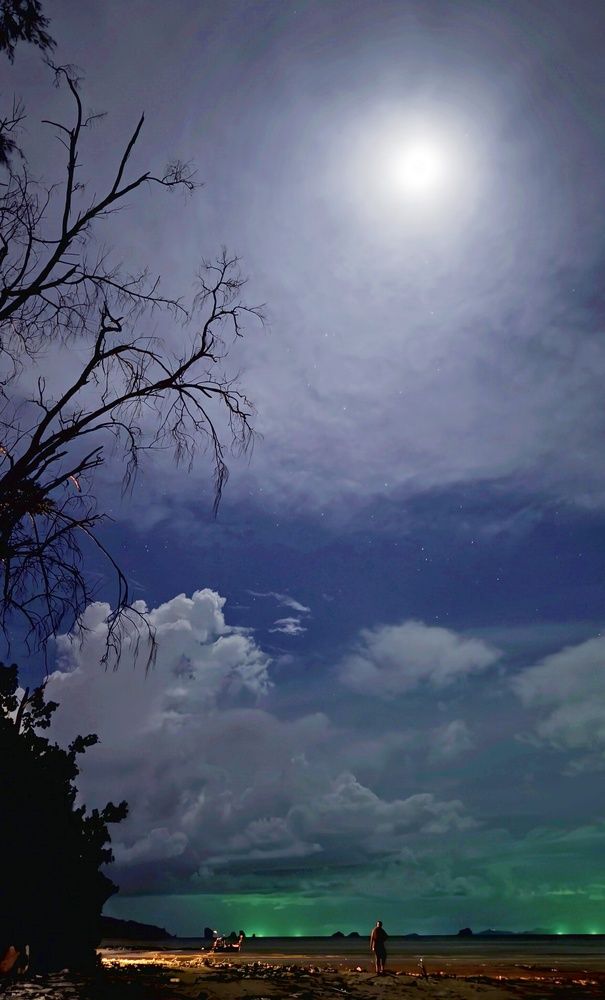 Фотография автора Светлана Зимина